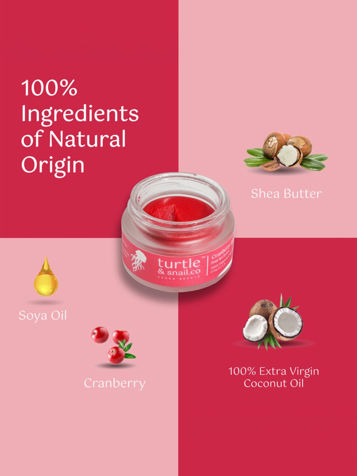 Turtle & Snail.Co Cranberry Lip Tint & Balm with Vitamin C & SPF 30 - 20 gm