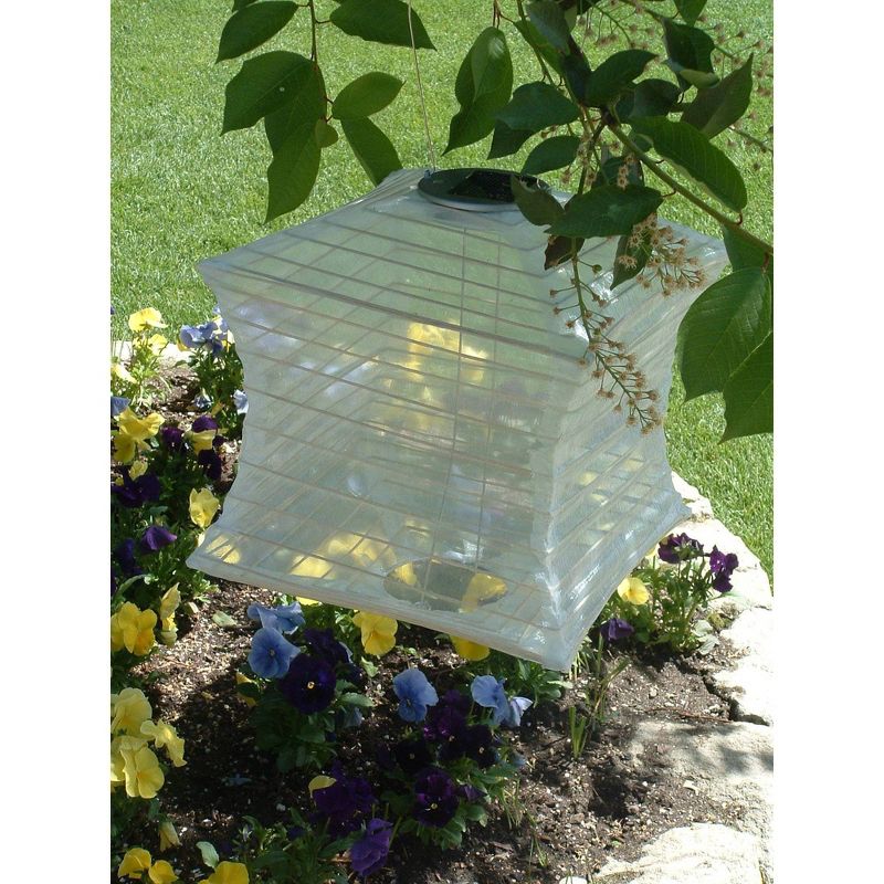 Clear Globe Lights Mint - Room Essentials™