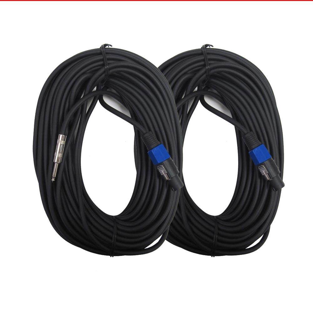 Seismic Audio - SASPT14-100-2Pack - Pair of 100 Foot Speakon to 1/4" PA DJ Speaker Cable - 2 Conductor - 14 Guage