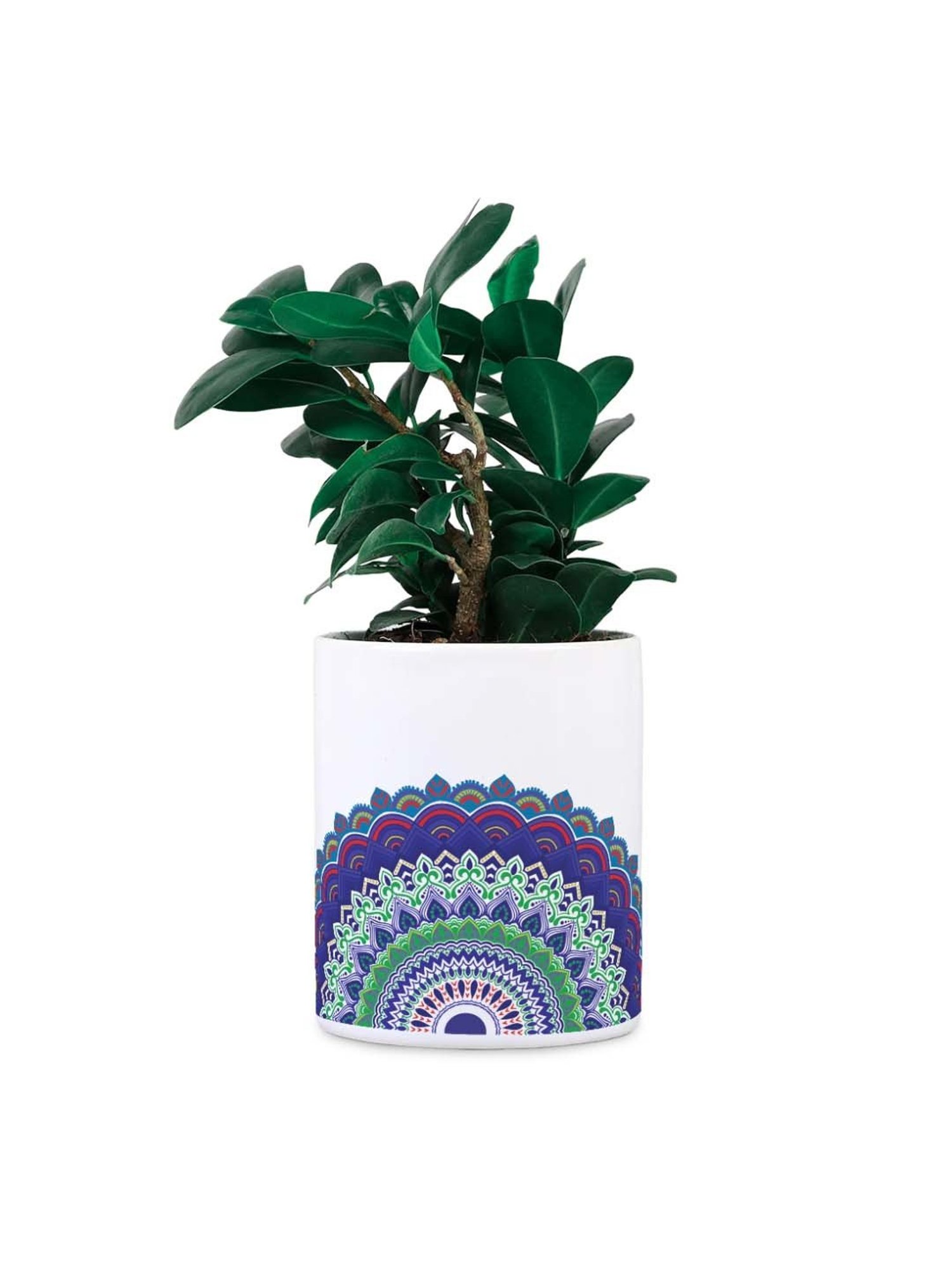 Gathari White & Purple Ceramic Desk Planter