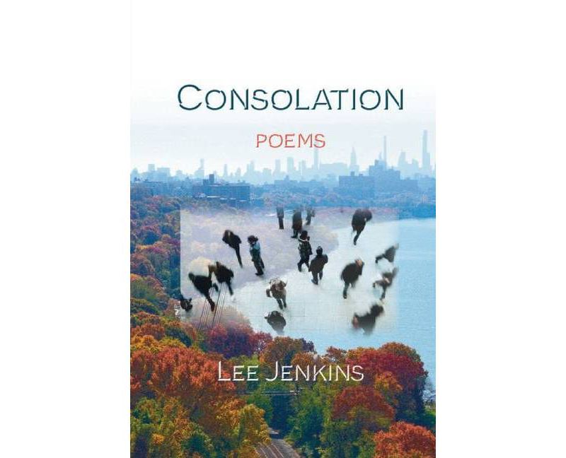 Stepwell - (Seattle Youth Poet Laureate) by  Azura Tyabji (Paperback)