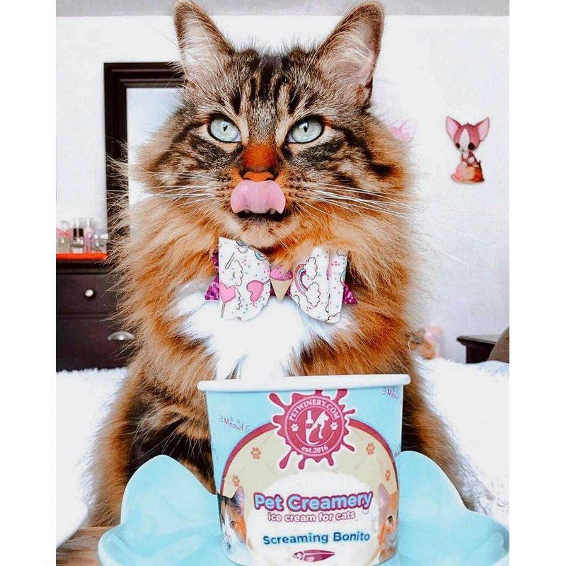 Pet Winery Cat Ice Cream Screaming Bonito Flavor Cat Treats - 3oz