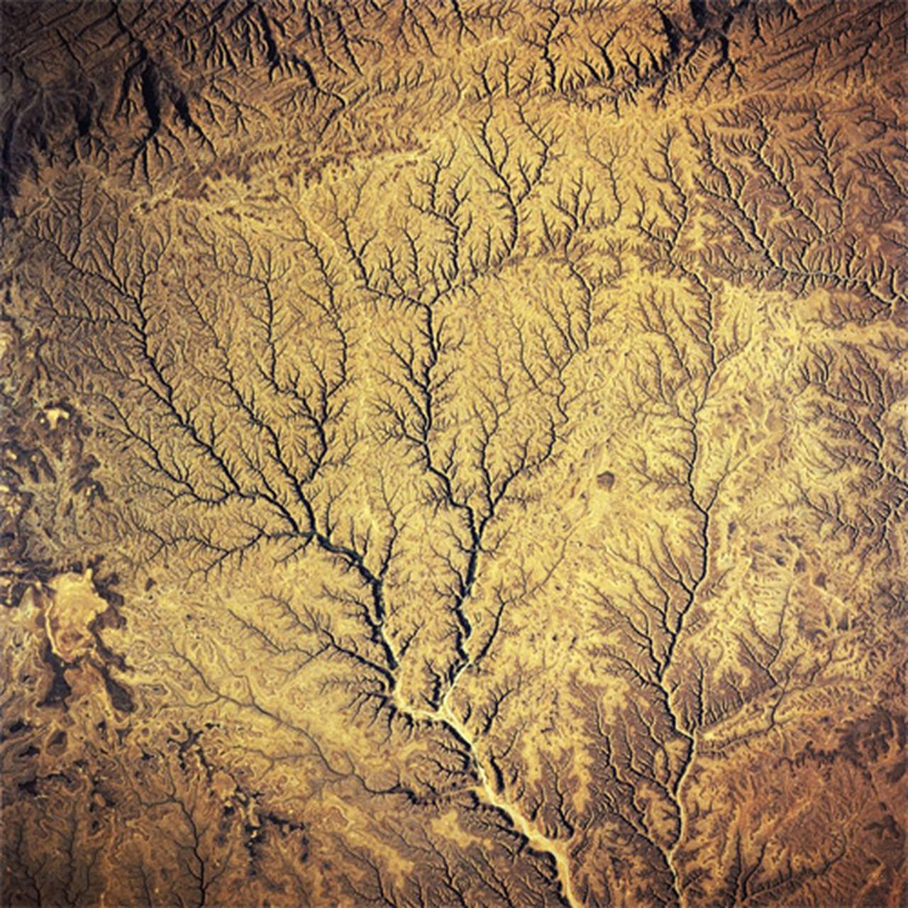 Passion Sources (Companion To Peter Gabriel's Passion) Half-Speed Mastered 180g LP (Vinyl)