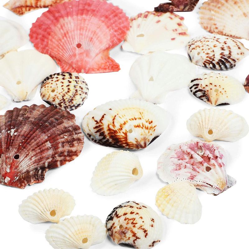 Bright Creations 77 Pieces DIY Decorative Fishing Net, 24 Sea Shells, 52 Strings, Arts and Crafts (79 x 79 in)