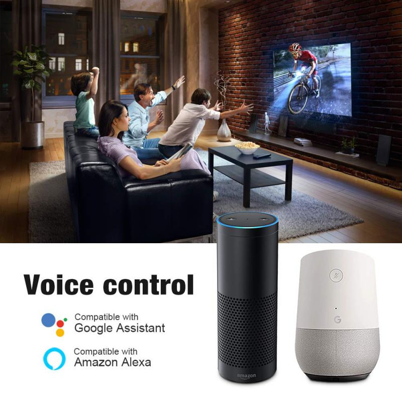 Nest T3017US Learning Thermostat 3rd Gen with Google Mini Home Smart Speaker, Chalk