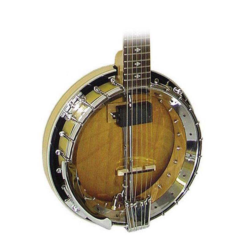 Gold Tone GT-500 (Banjitar)