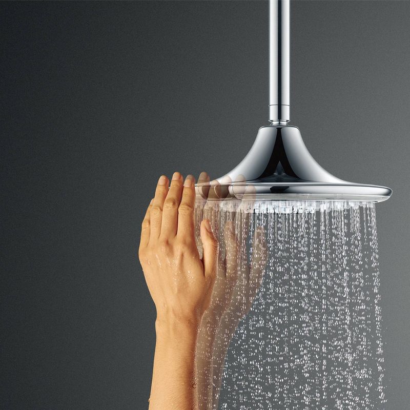4' Shower Head and Cord Set Silver - Home Details