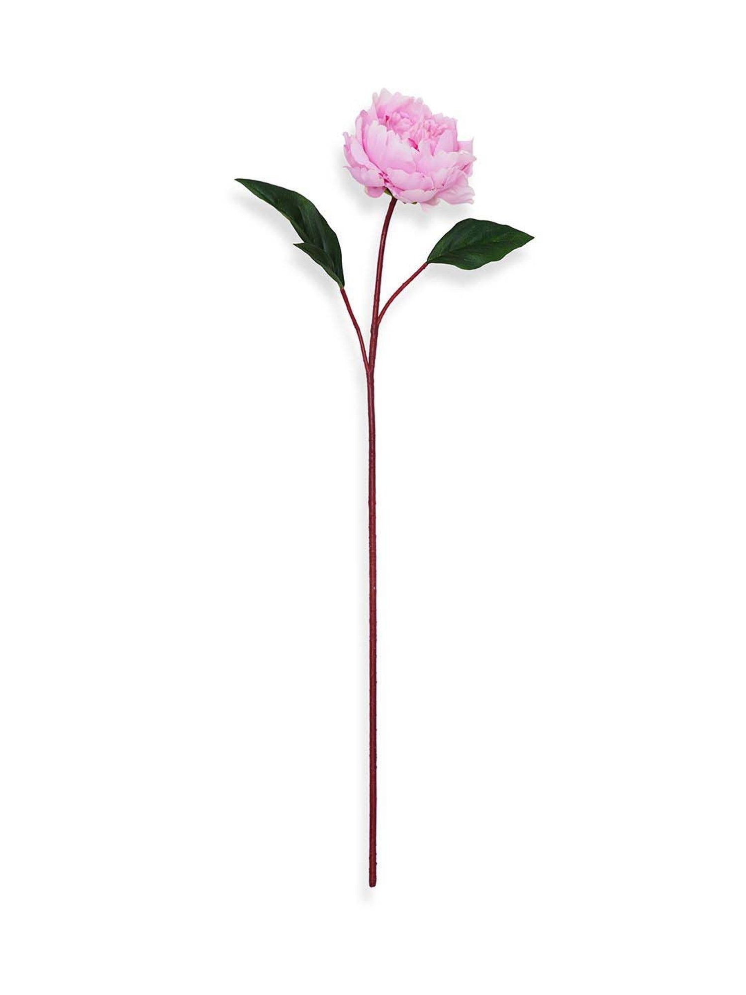 Pure Home and Living Light Pink Plastic Artificial Peony Flower Stem