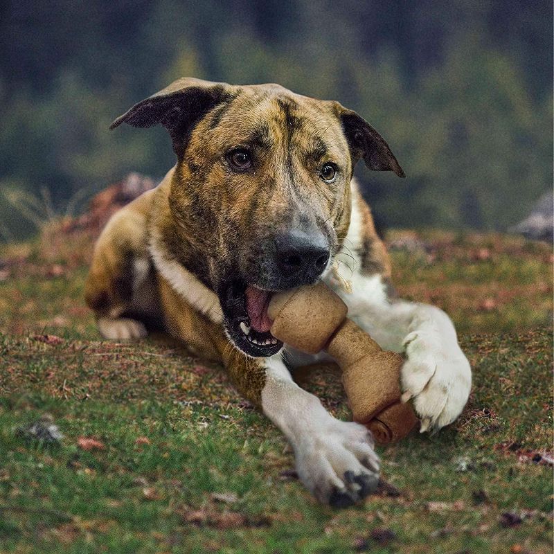 Cadet 4-5 Inch Rawhide Peanut Butter Based Knotted Bones (1 lb Pack)