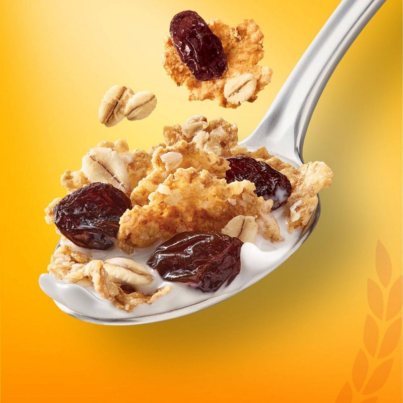 Raisin Bran Oats Family Size - 22.1oz - Kellogg's