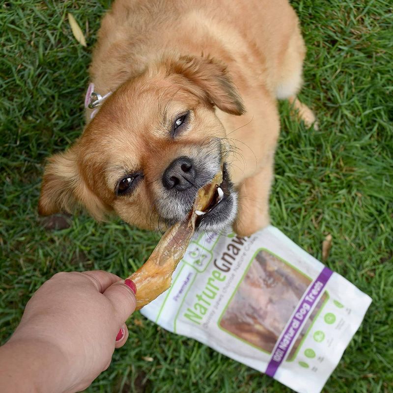 Nature Gnaws Beef Tendon 4-7" Jerky Dog Treats - 12ct