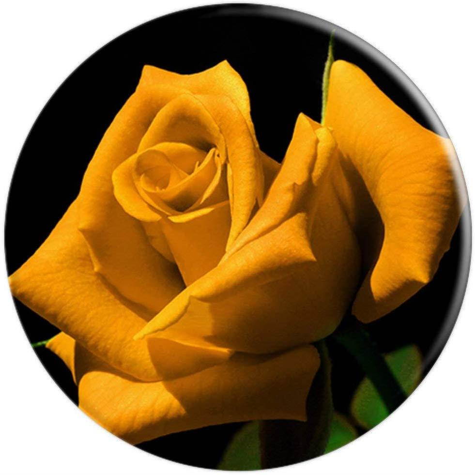 Yellow Rose PopSockets Grip and Stand for Phones and Tablets