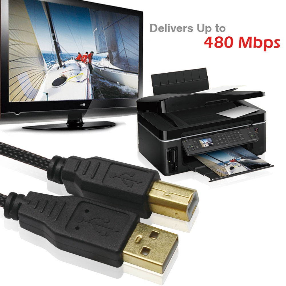 2.0 USB A Male to B Male Printer Cable (6 Feet) - High-Speed with Gold-Plated