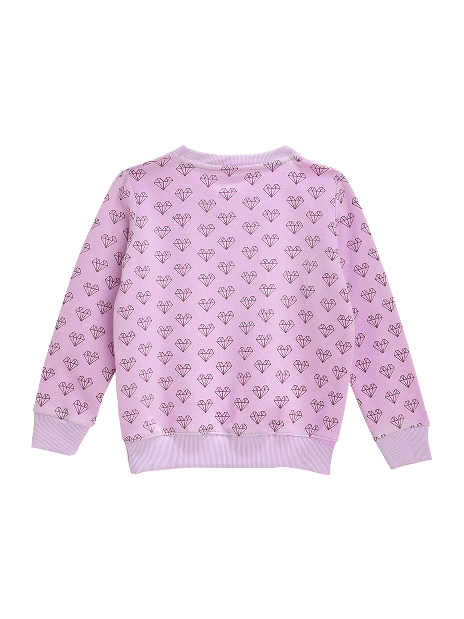 Kids Craft Purple Printed Sweatshirt