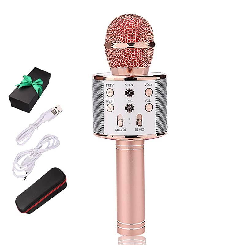 Bluetooth Wireless Microphone 3 in 1 Portable Handheld Mic Speaker Machine for Company Meeting Family Kids Party - Compatible iPhone, Android, iPad, PC and All Smartphones