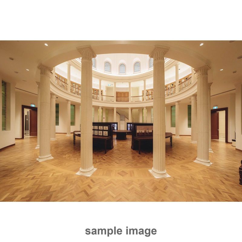 Rokinon 14mm F2.8 AF Wide Angle, Full Frame Auto Focus Lens for Canon EF