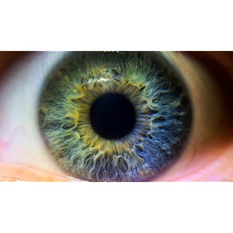 EOS Rebel T6i 10x High Definition 2 Element CloseUp Macro Lens 67mm