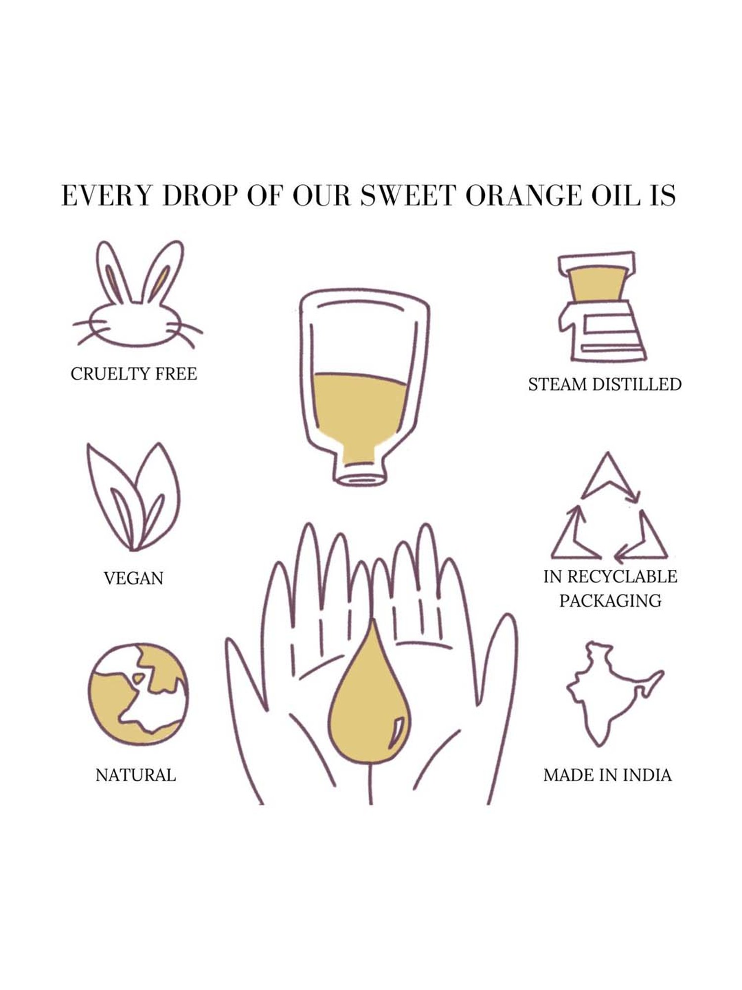 Essentia Extracts Sweet Orange Essential Oil - 15 ml