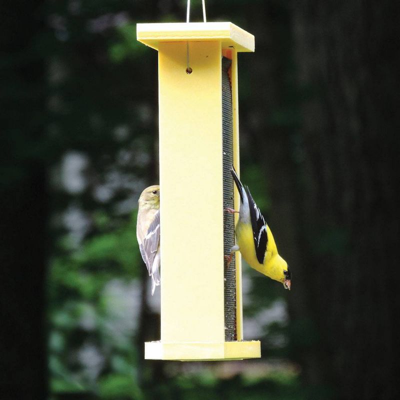 Birds Choice GSTF-YLW Green Solutions Recycled NYJER Finch Feeder