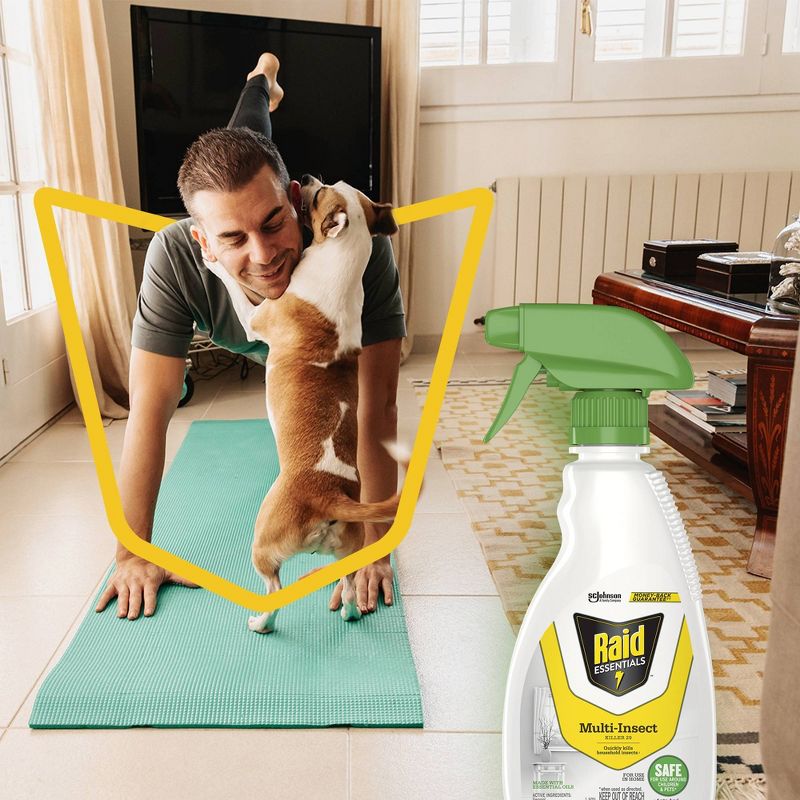 Raid Essentials Multi Insect Killer 29 Trigger Spray - 12 fl oz