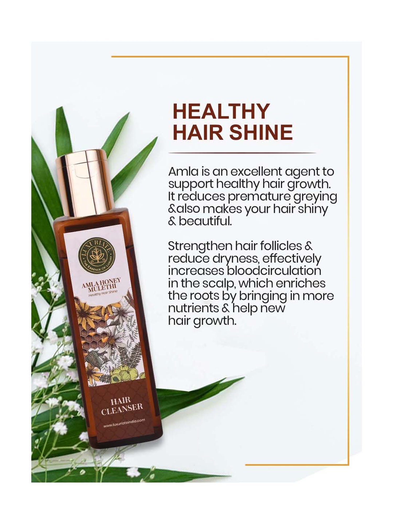 Luxuriate Amla Honey Hair Cleanser Shampoo - 200 ml