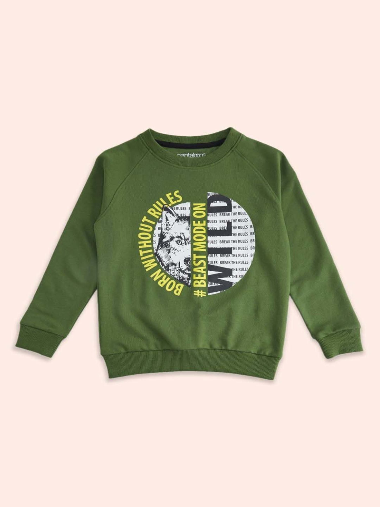 Pantaloons Baby Kids Olive Printed Full Sleeves Sweatshirt