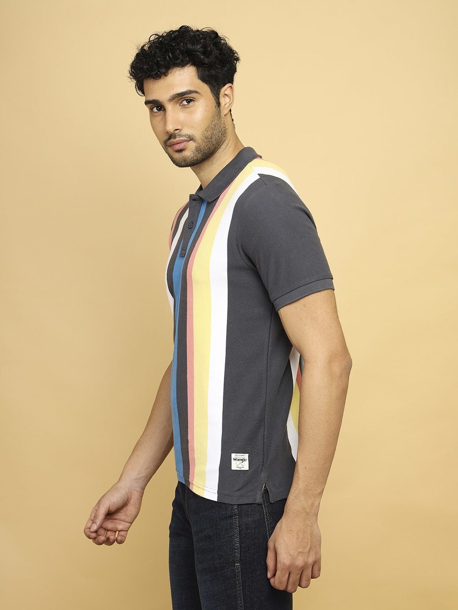 Wrangler Multi Cotton Regular Fit Striped Polo T-Shirt