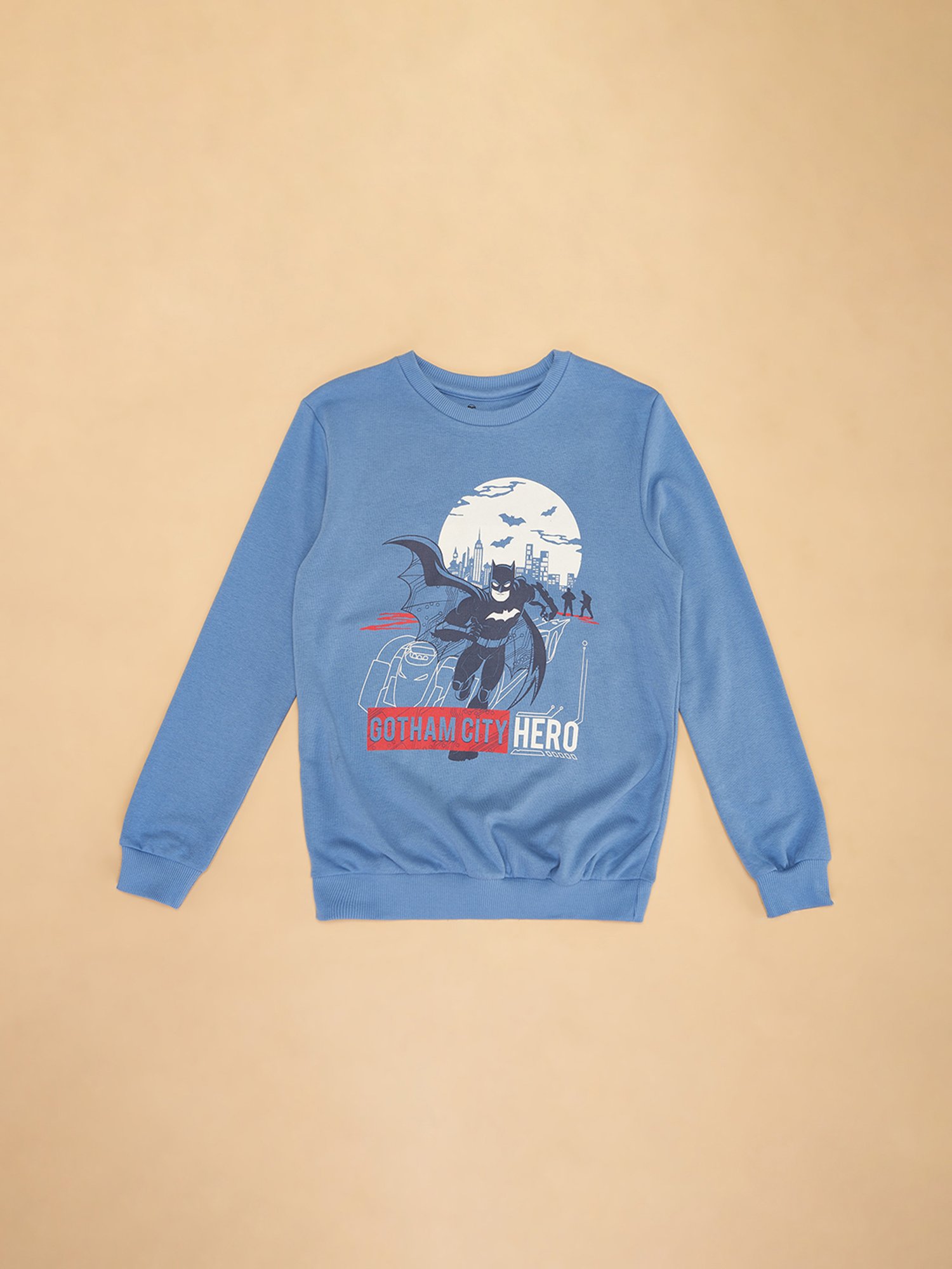 YU by Pantaloons Kids Blue Printed Full Sleeves Sweatshirt