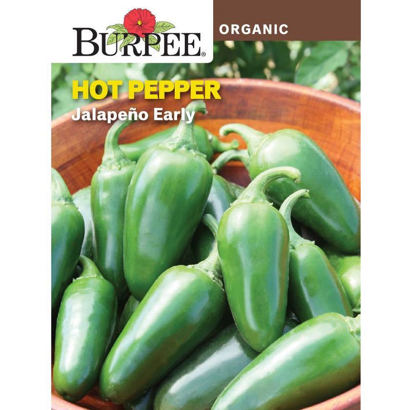 Burpee Organic Herb and Vegetable Garden Seed Collection - 12pk