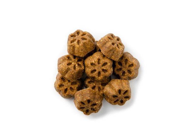 Nudges Protein Biscuit Chicken Dog Treats -16oz