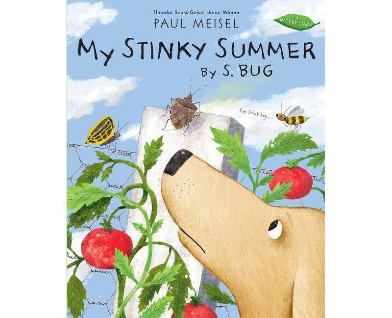 Pillow - by  Debora de Santanna (Hardcover)