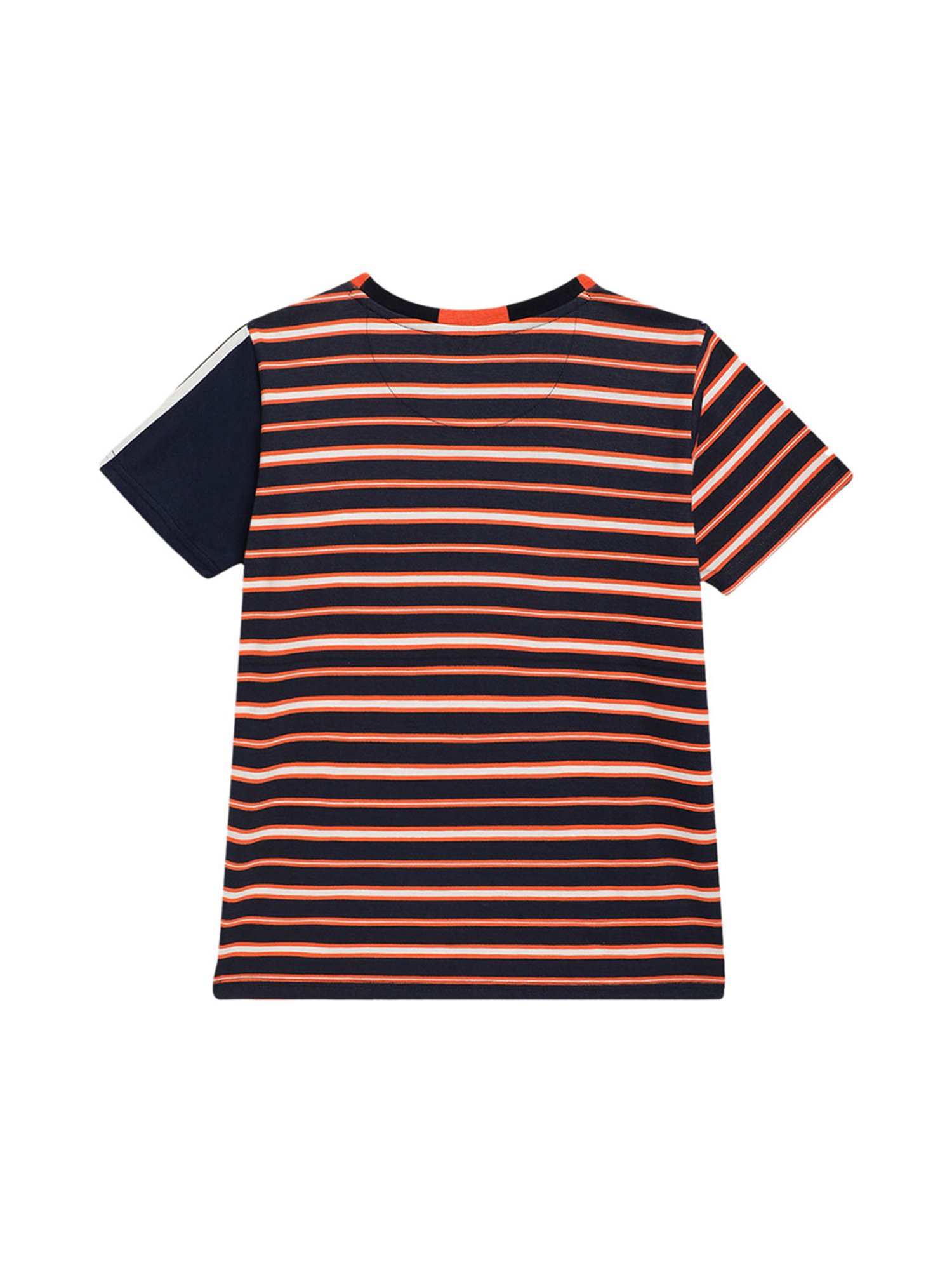 Blue Giraffe Kids Multicolor Striped T-Shirt