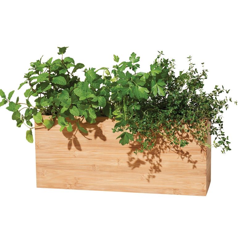 Modern Sprout Hydroplanter Hydroponic Smart Planter