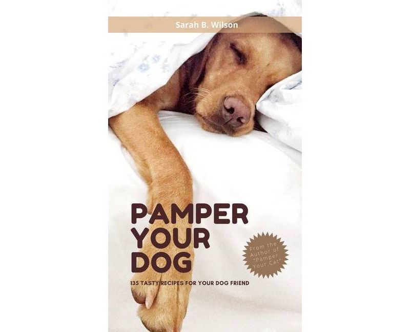 Behold the Personal Maine Coon - by  Phyllis Stiebens (Paperback)