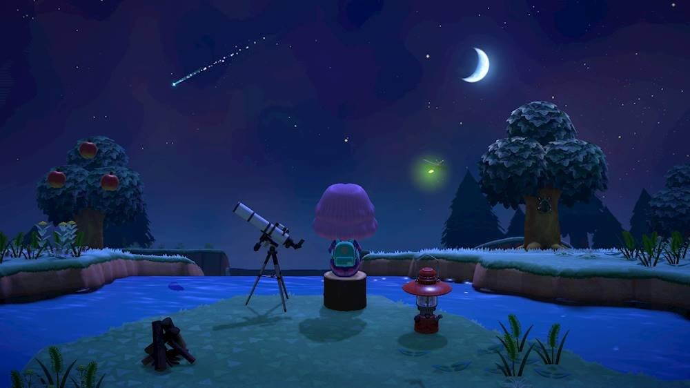 Nintendo Switch Lite Turquoise Bundle with Animal Crossing: New Horizons NS Game Disc - 2020 Best Game!