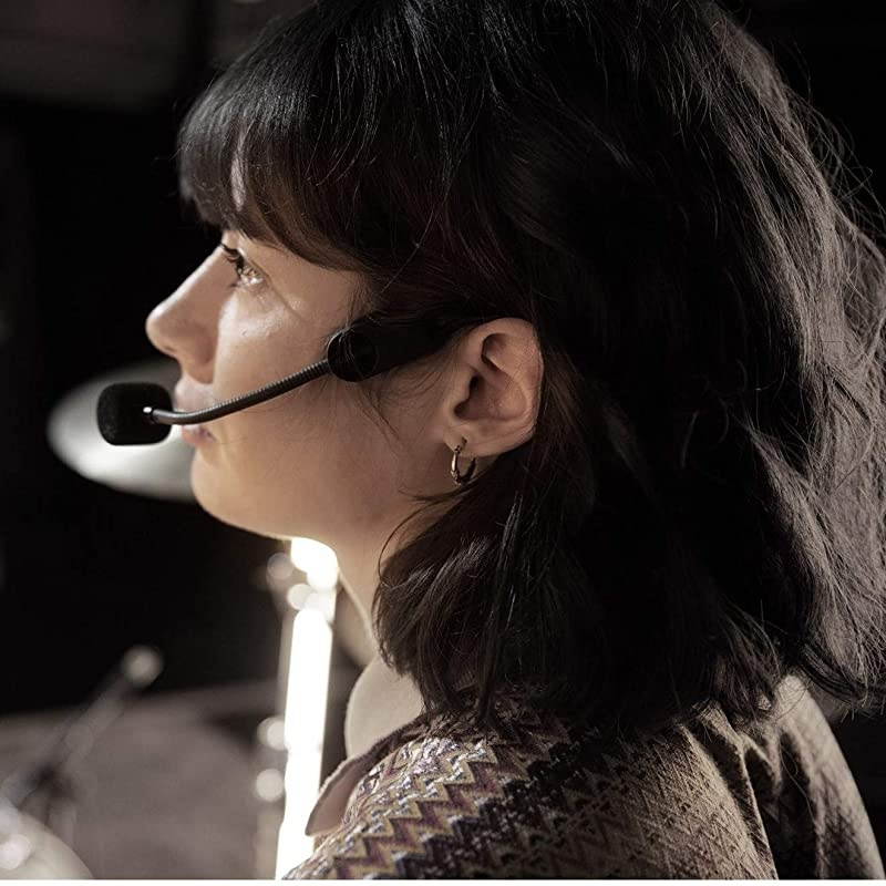 PGA31 Headset Condenser Microphone with TA4F/TQG Connector for use with  Wireless Systems