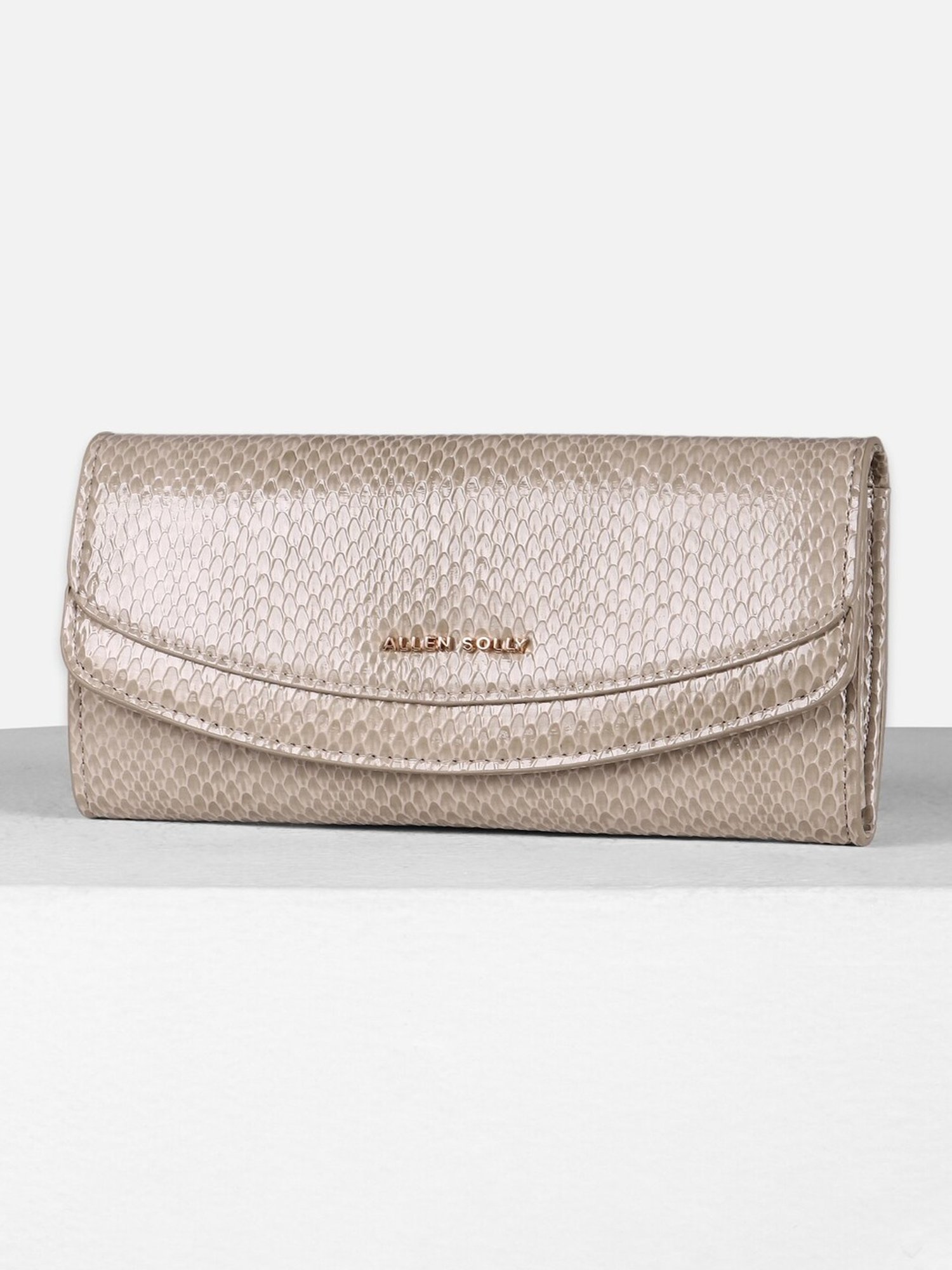 Allen Solly Beige Textured Wallet for women