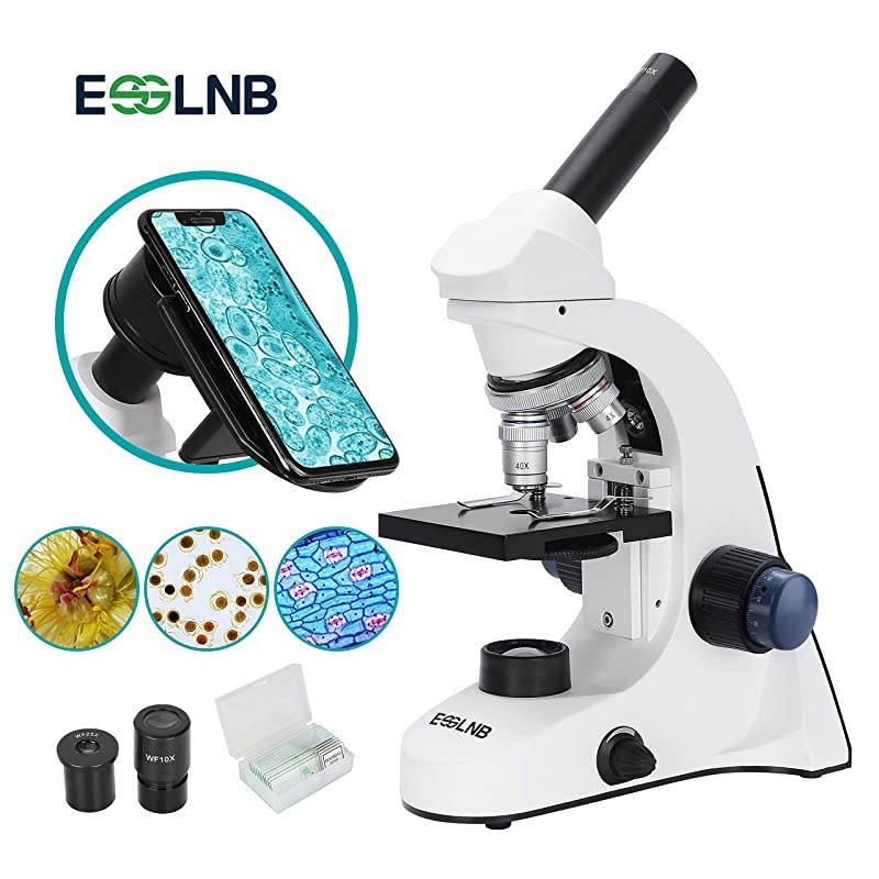 1000X Microscope for Kids Students 40X-1000X Biological Compound Microscopes with Cell Phone Adapter Double Layer Stage Abbe Condenser and Slides