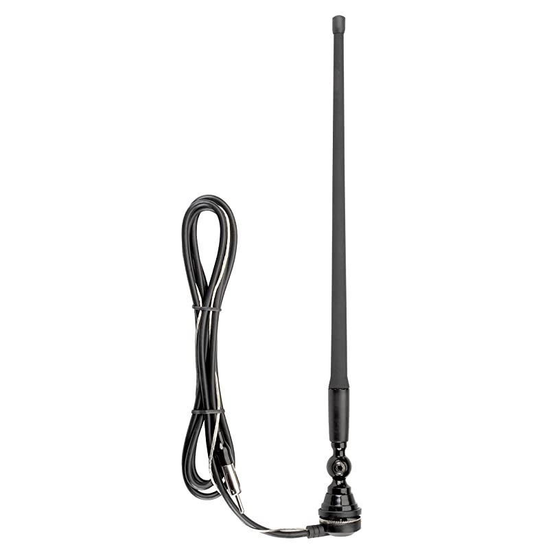 RV71 Recreational Vehicle rubber mast AMFM antenna RV Motorhome 72 lead