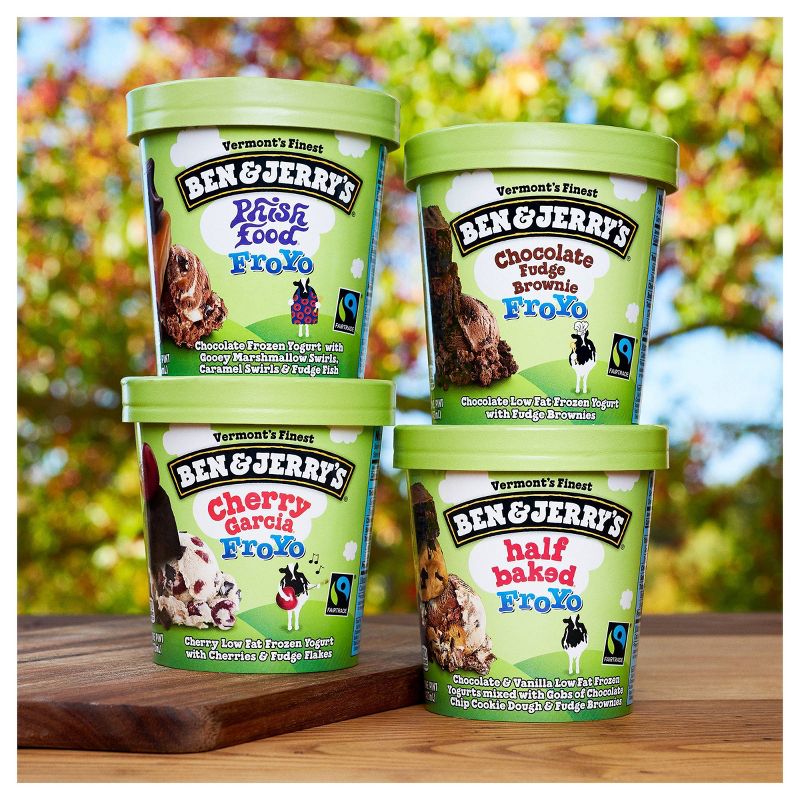 Ben & Jerry's Frozen Yogurt Half Baked FroYo - 16oz