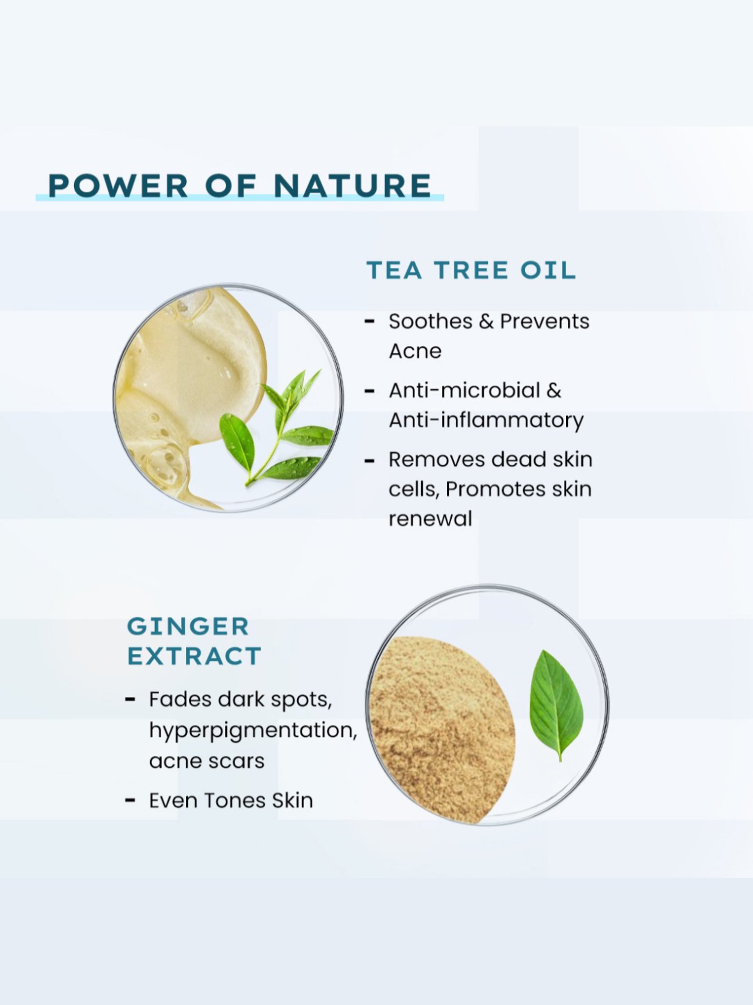 Gush Dart It Hydrocolloid Pimple Patches Combo - Mega Pack of 6