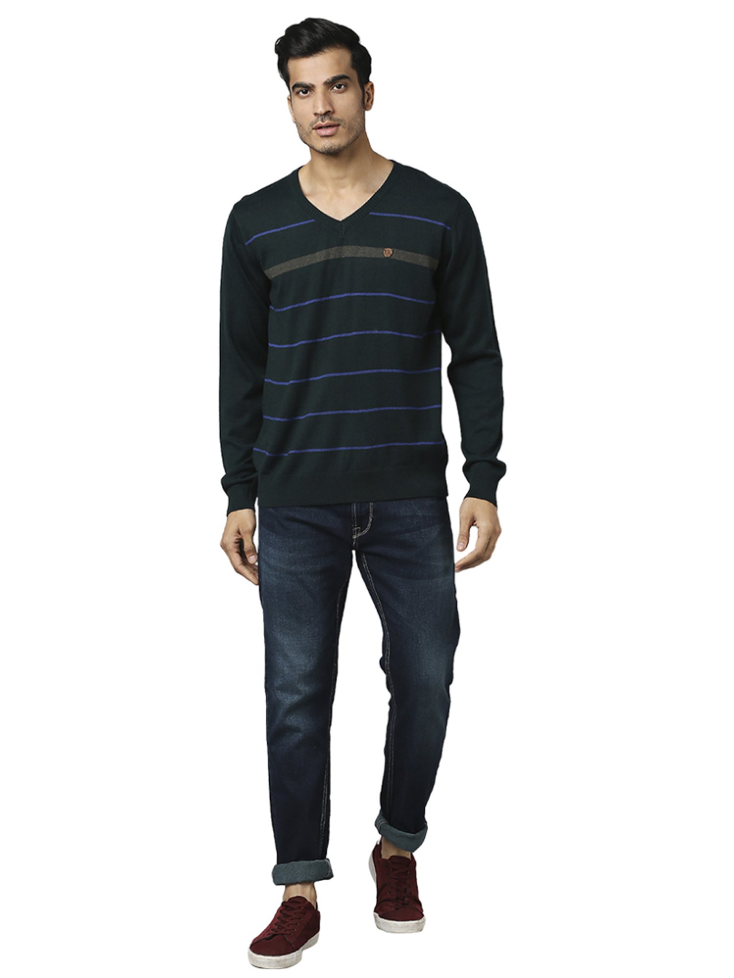 Raymond Green  Regular Fit Striped Sweaters