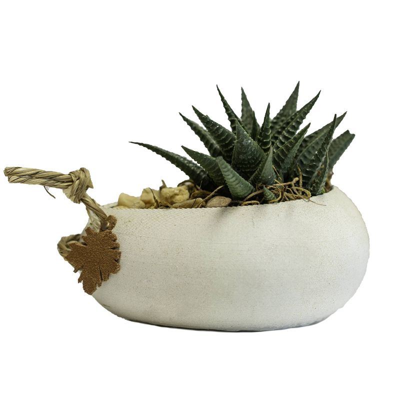 LiveTrends Bountiful