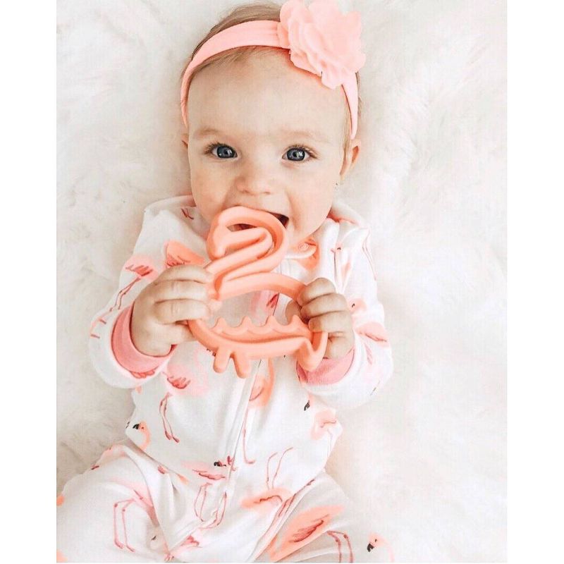 Itzy Ritzy Silicone Teether Flamingo - Coral
