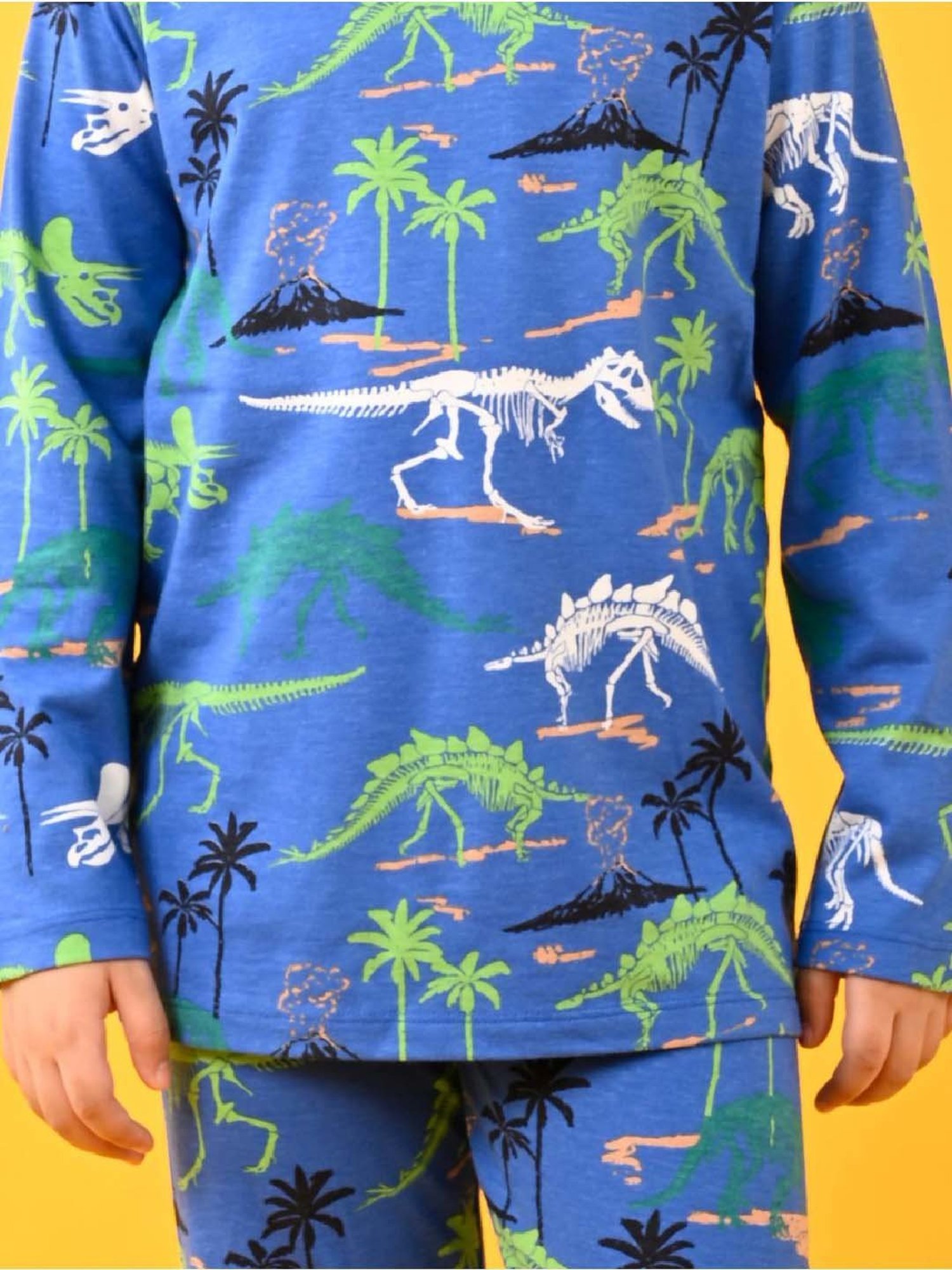 Anthrilo Boys Royal Printed Full Sleeves Night Suits