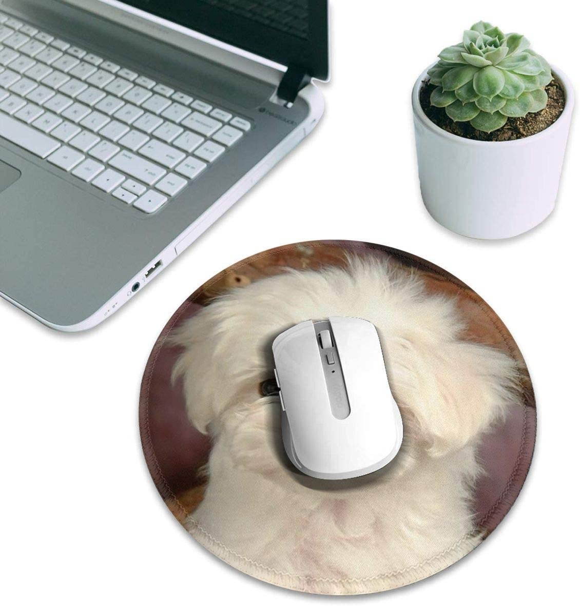 Durgod Taurus K320 TKL Mechanical Gaming Keyboard - 87 Keys - Double Shot PBT - NKRO - USB Type C (Cherry Blue, White)