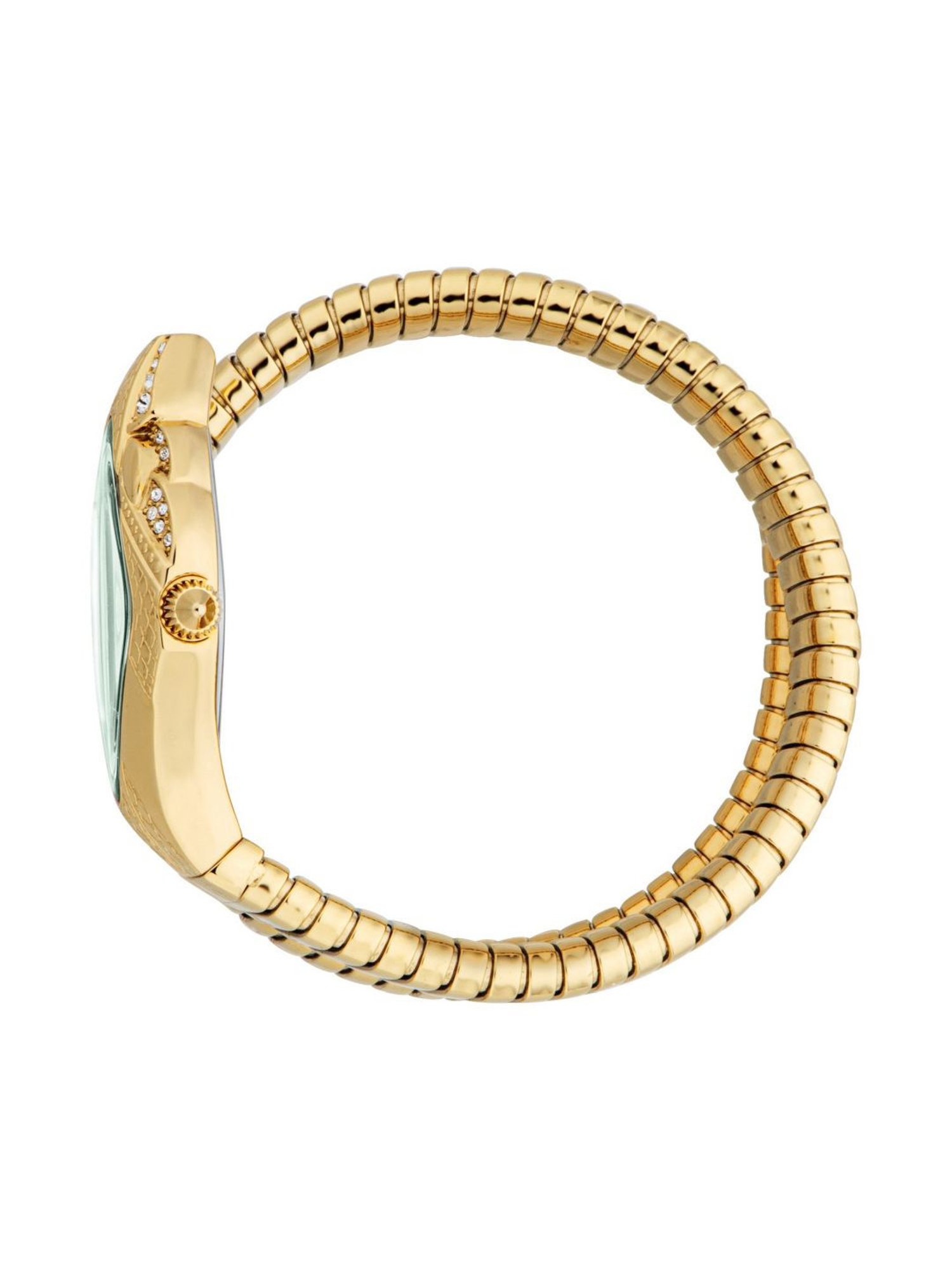 Just Cavalli JC1L306M0045 Ferocious Analog Watch for Women