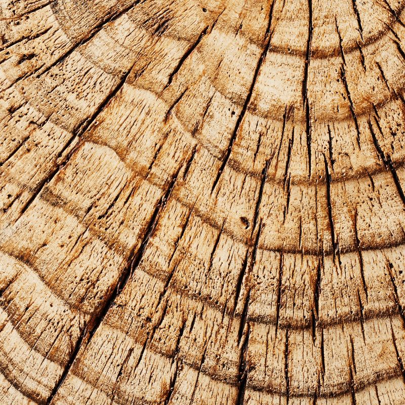 Indoor/Outdoor Faux Concrete Stump Accent Table Brown - Threshold™ designed with Studio McGee