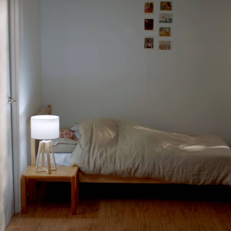 LIFX 4pk Mini Day and Dusk A19 LED Light Bulb White