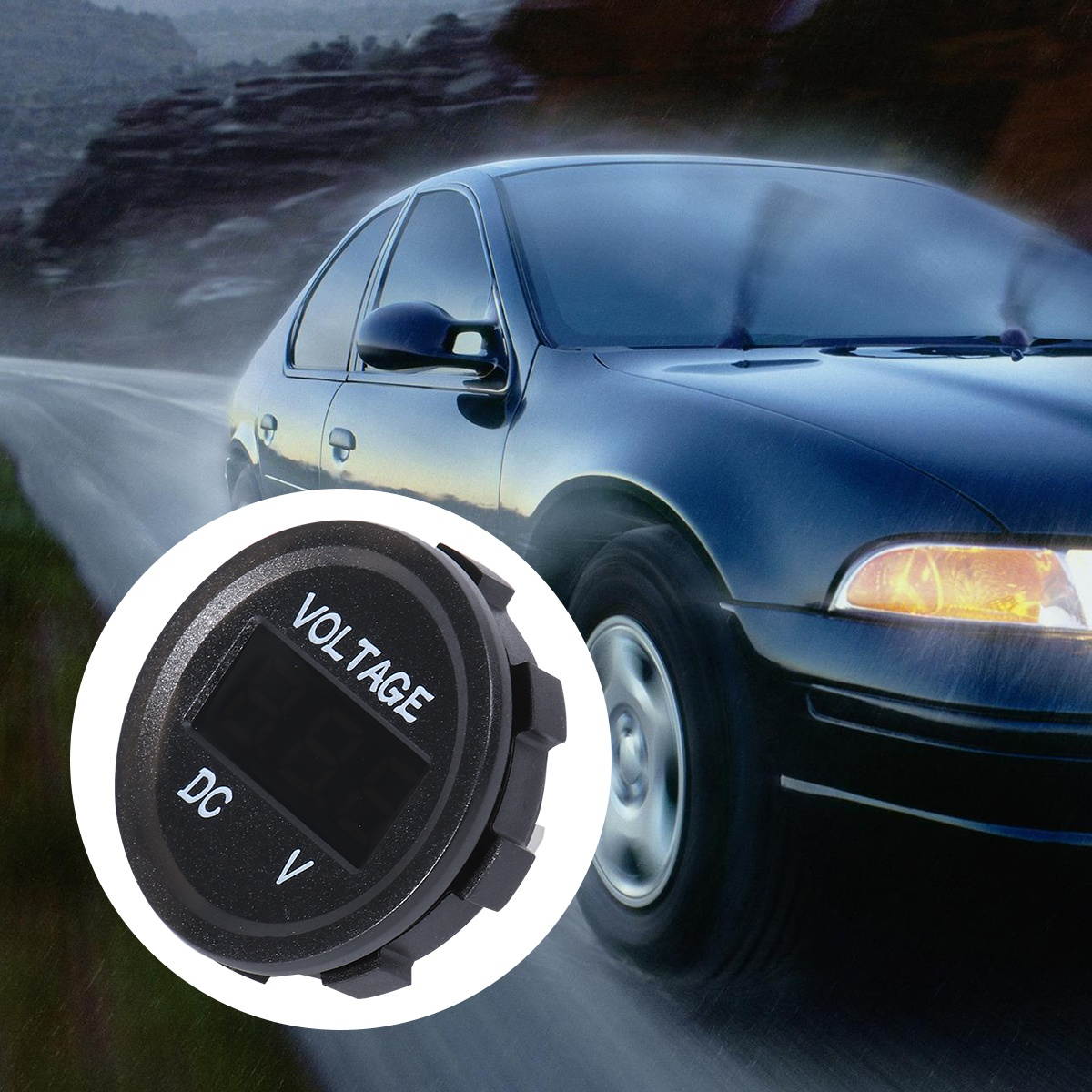 All You Need is Yorkshire Terrier Box Sign by Primitives by Kathy